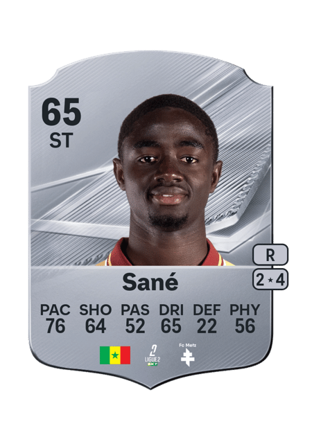 Carte de Ibou Sané