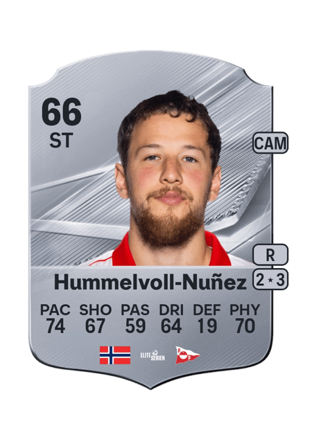 Carte de Johannes Hummelvoll-Nuñez