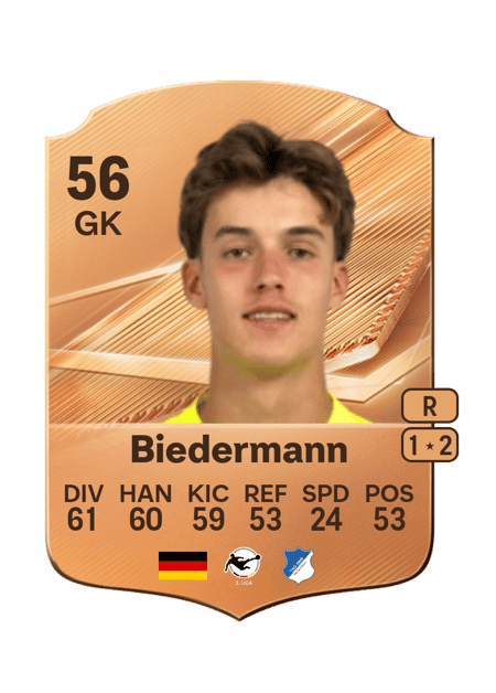 Carte de Nico Biedermann