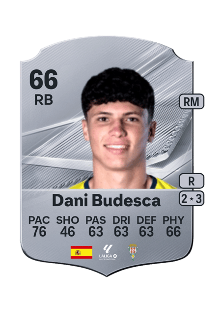 Carte de Dani Budesca