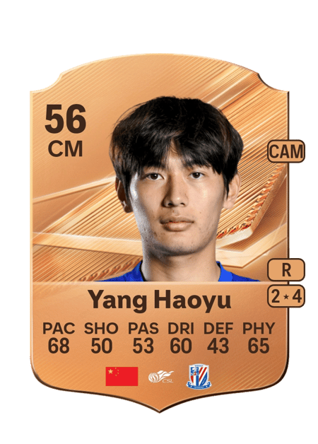 Carte de Yang Haoyu