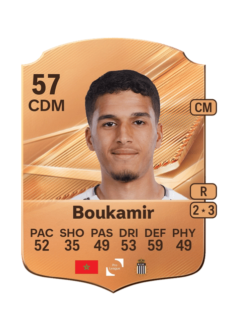 Carte de Amine Boukamir