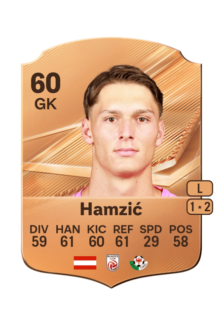 Carte de Salko Hamzić