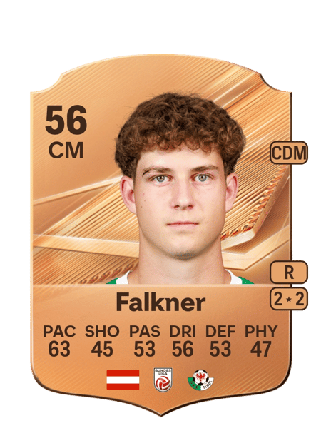 Carte de David Falkner