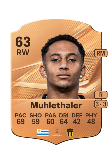 Carte de Stiven Muhlethaler