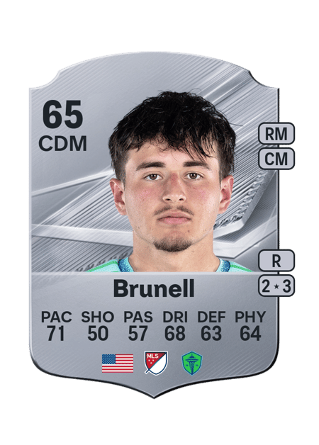 Carte de Snyder Brunell