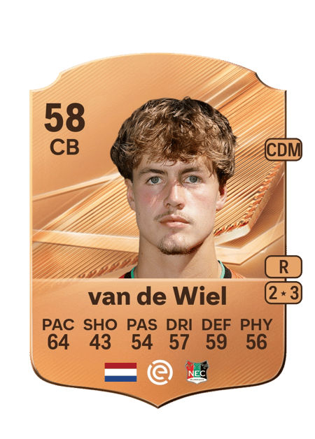 Carte de Merijn van de Wiel