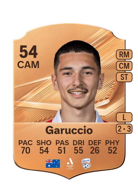 Carte de Joey Garuccio
