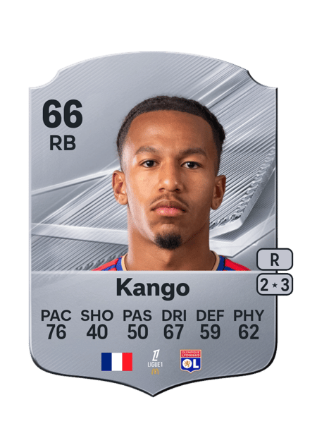 Carte de Steeve Kango
