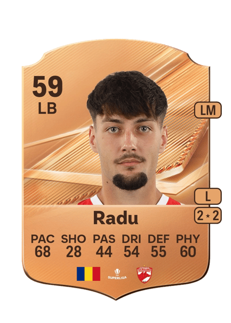 Carte de Răzvan Radu