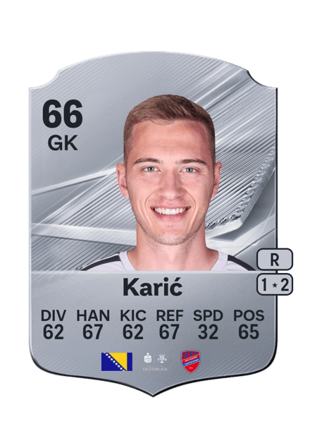 Carte de Tarik Karić