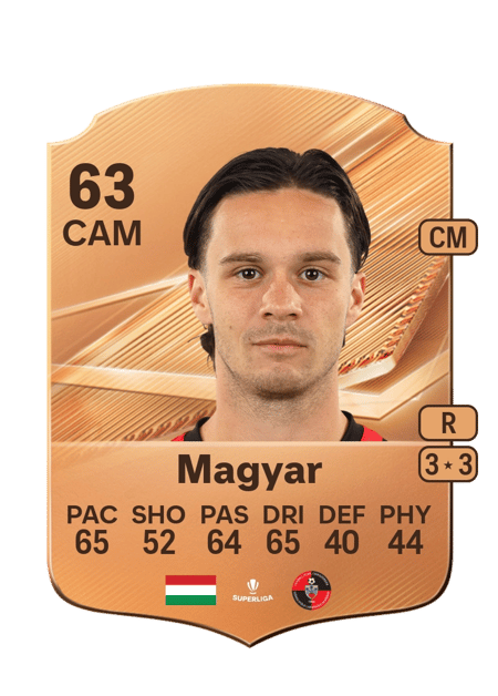 Carte de Zsolt Magyar
