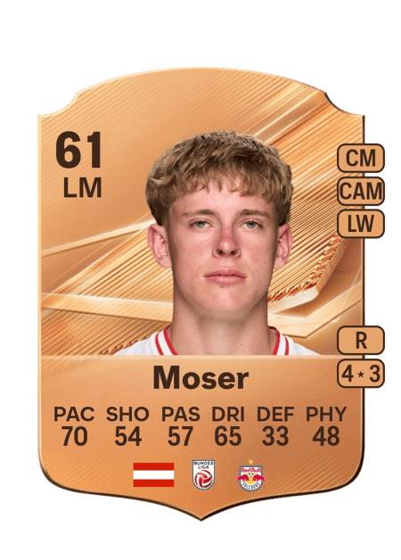 Carte de Johannes Moser