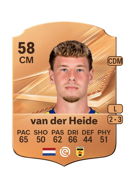 Carte de Wiebe van der Heide