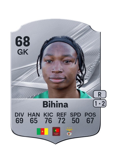 Carte de Michaely Bihina